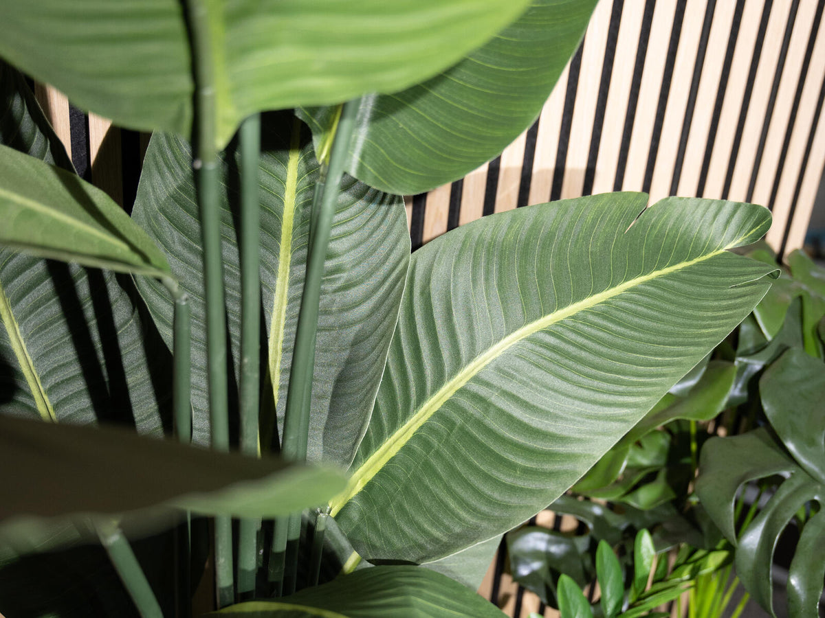 Europalms Strelitzie, Kunstpflanze, 170cm – Ansicht 5