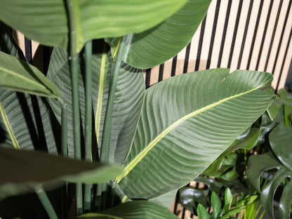 Europalms Strelitzie, Kunstpflanze, 170cm – Ansicht 5
