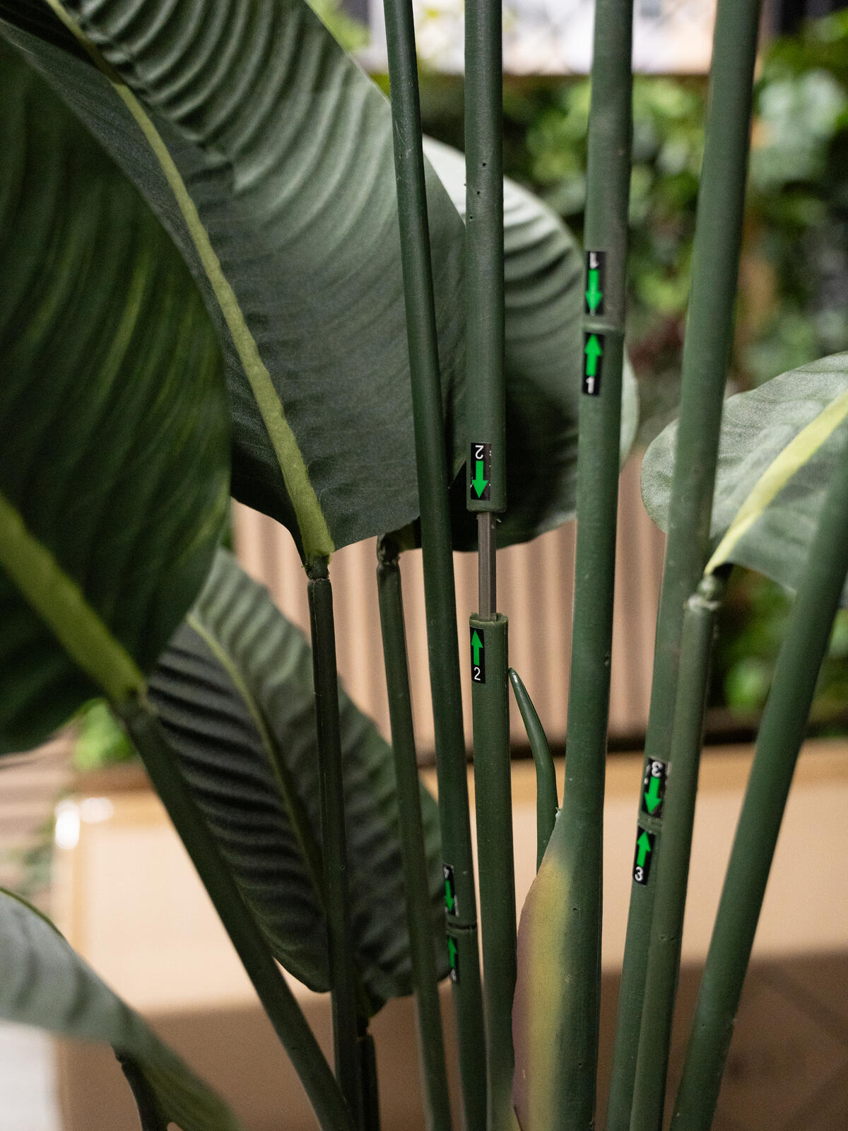 Europalms Strelitzie, Kunstpflanze, 170cm – Ansicht 6