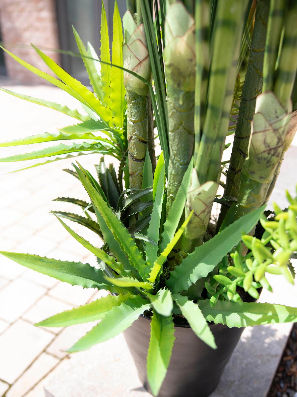 Europalms Sukkulenten-Mix, Kunstpflanze, 190cm – Ansicht 2