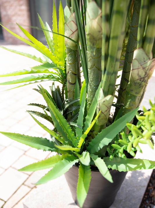 Europalms Sukkulenten-Mix, Kunstpflanze, 190cm – Ansicht 2
