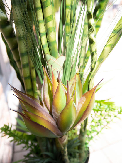 Europalms Sukkulenten-Mix, Kunstpflanze, 190cm – Ansicht 3
