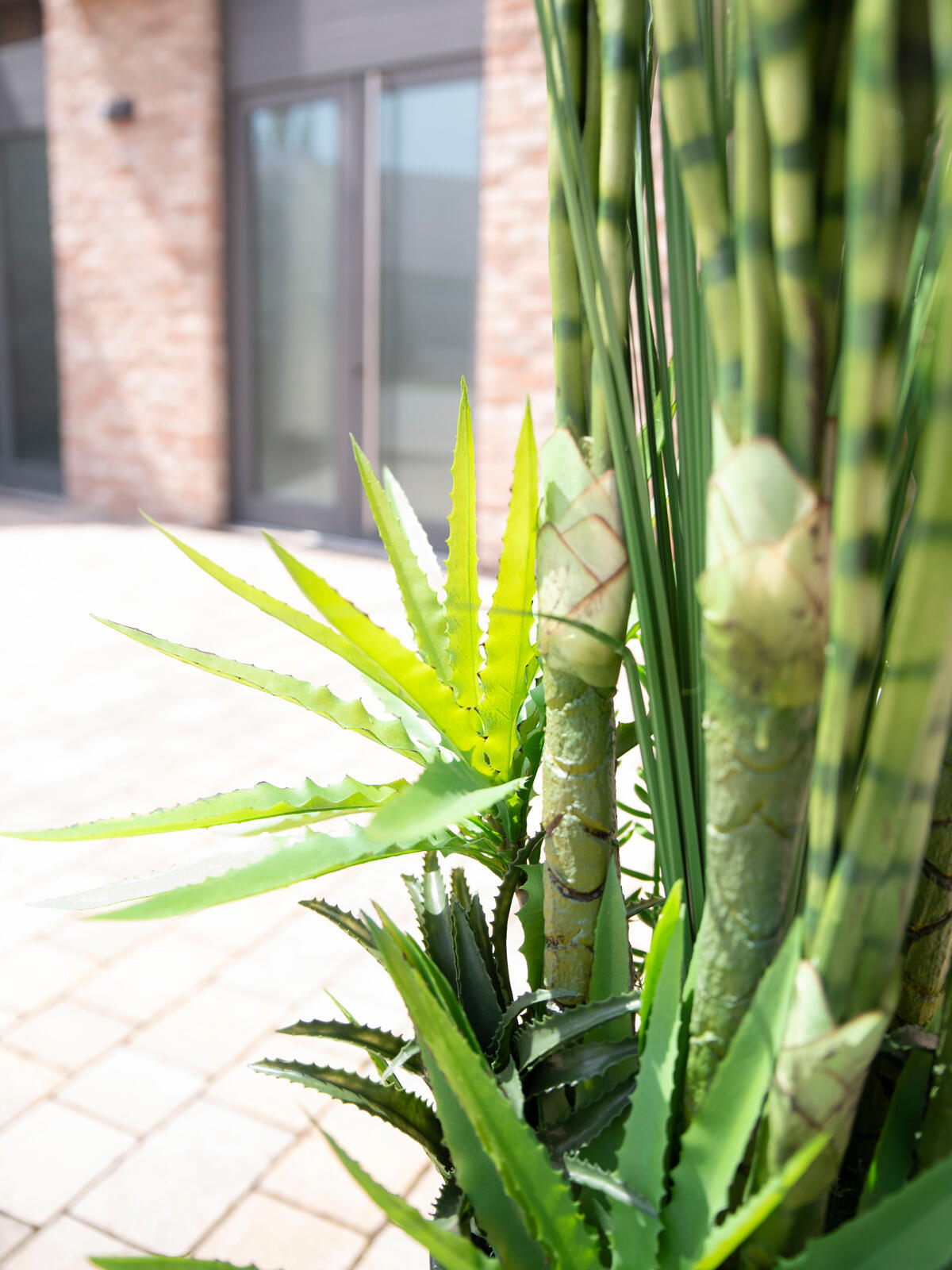 Europalms Sukkulenten-Mix, Kunstpflanze, 190cm – Ansicht 4