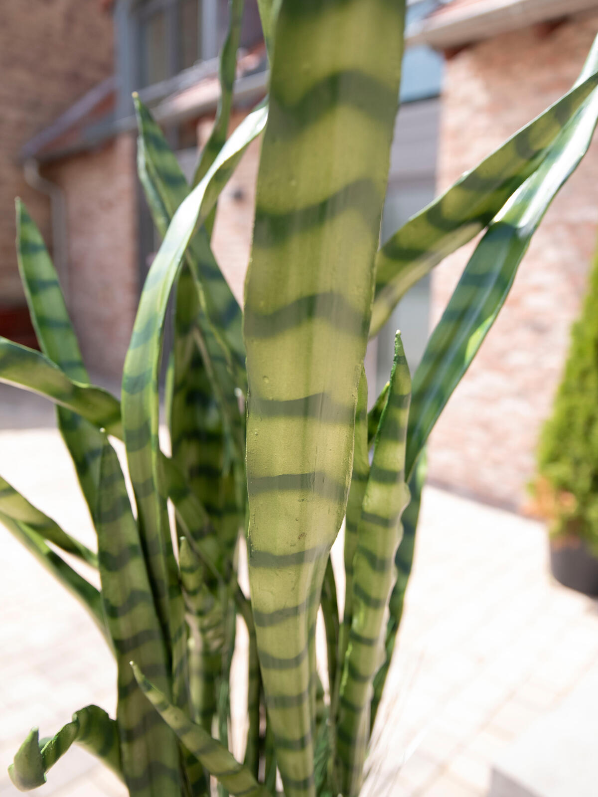 Europalms Sukkulenten-Mix, Kunstpflanze, 190cm – Ansicht 5