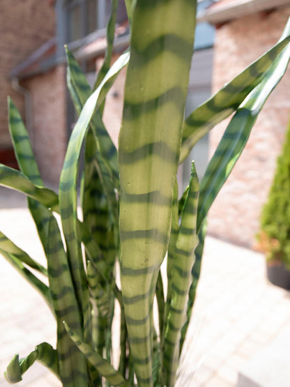 Europalms Sukkulenten-Mix, Kunstpflanze, 190cm – Ansicht 5