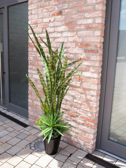 Europalms Sukkulenten-Mix, Kunstpflanze, 190cm – Ansicht 6