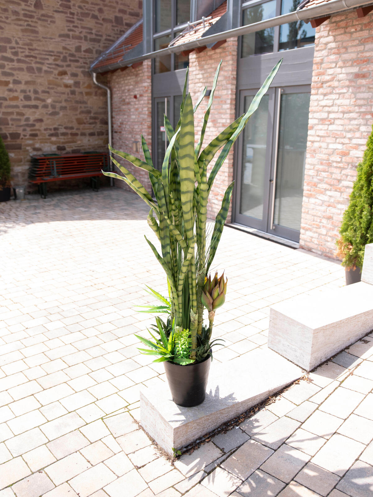 Europalms Sukkulenten-Mix, Kunstpflanze, 190cm – Ansicht 7