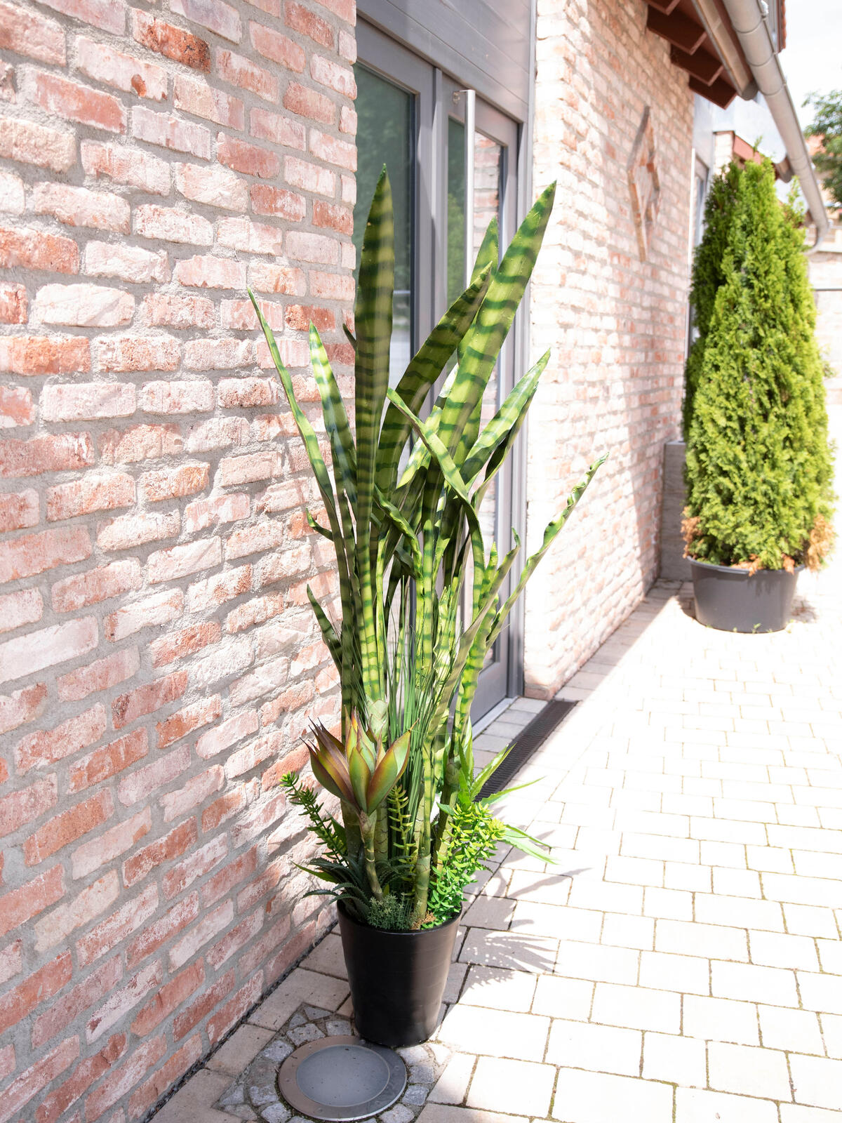 Europalms Sukkulenten-Mix, Kunstpflanze, 190cm – Ansicht 9