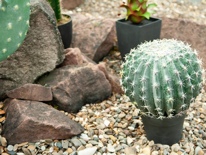 Europalms Kugelkaktus, Kunstpflanze, 34cm – Ansicht 3