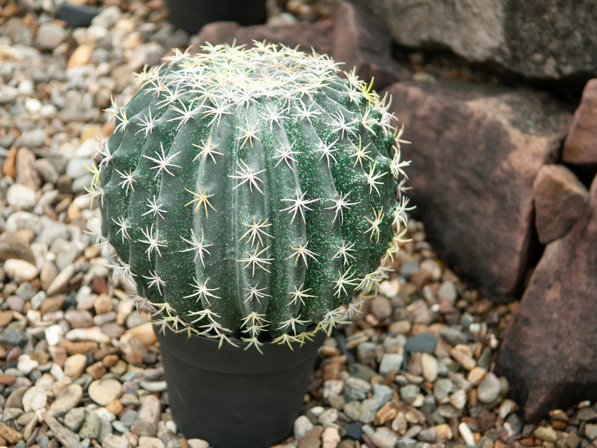 Europalms Kugelkaktus, Kunstpflanze, 34cm – Ansicht 5