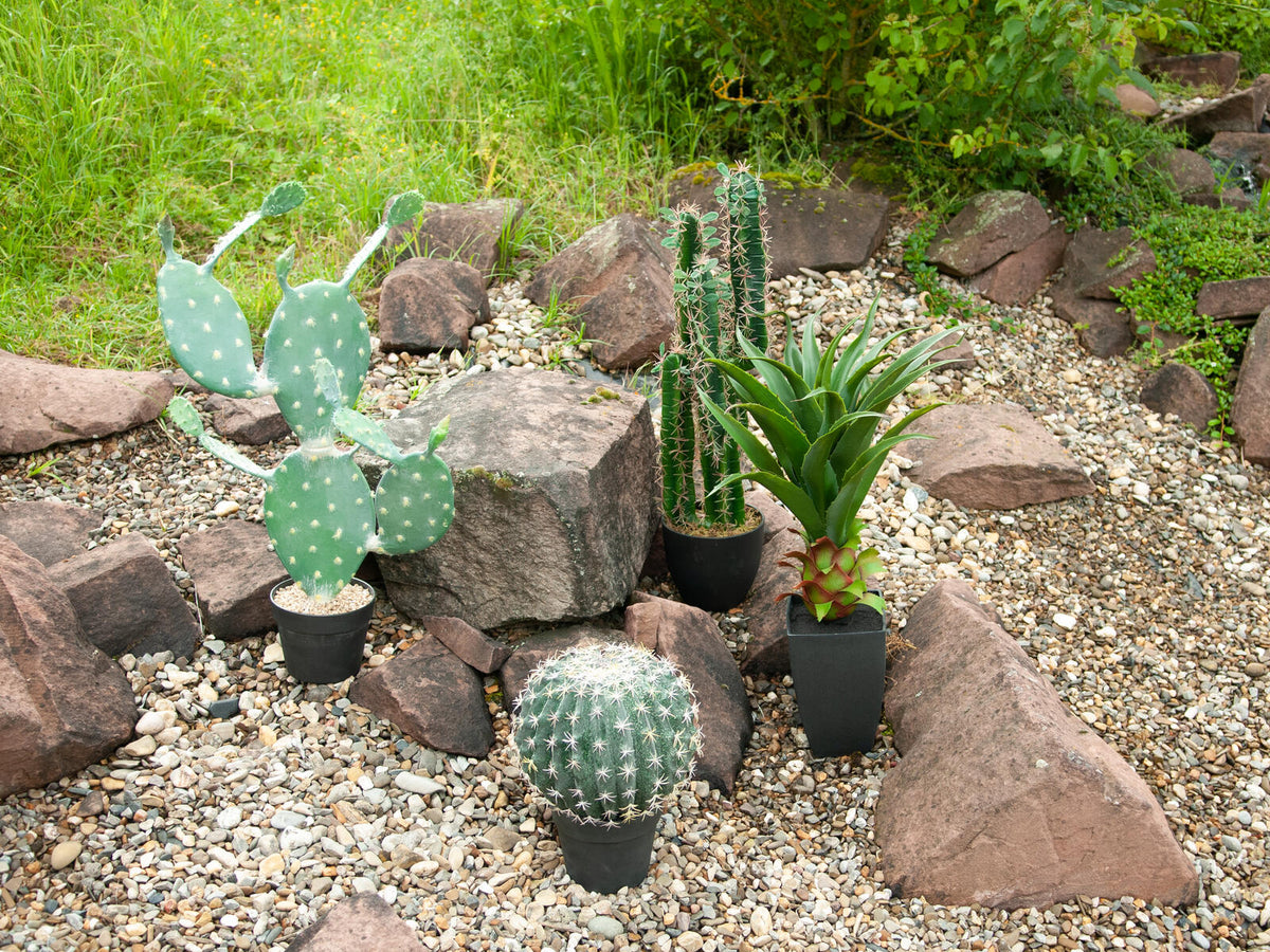 Europalms Kugelkaktus, Kunstpflanze, 34cm – Ansicht 6