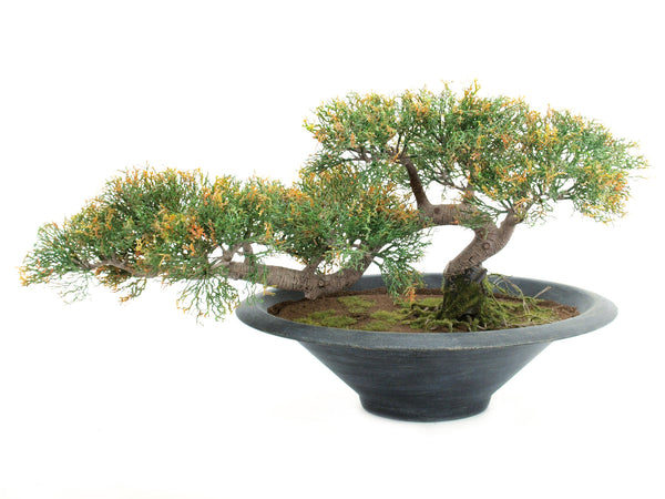 Europalms Bonsai-Zeder, Kunstpflanze, 40cm