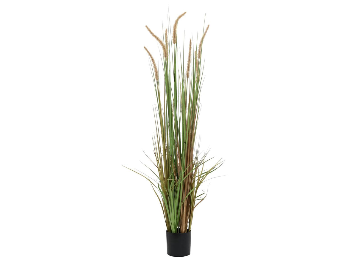 Europalms Lampenputzergras, künstlich, 120cm