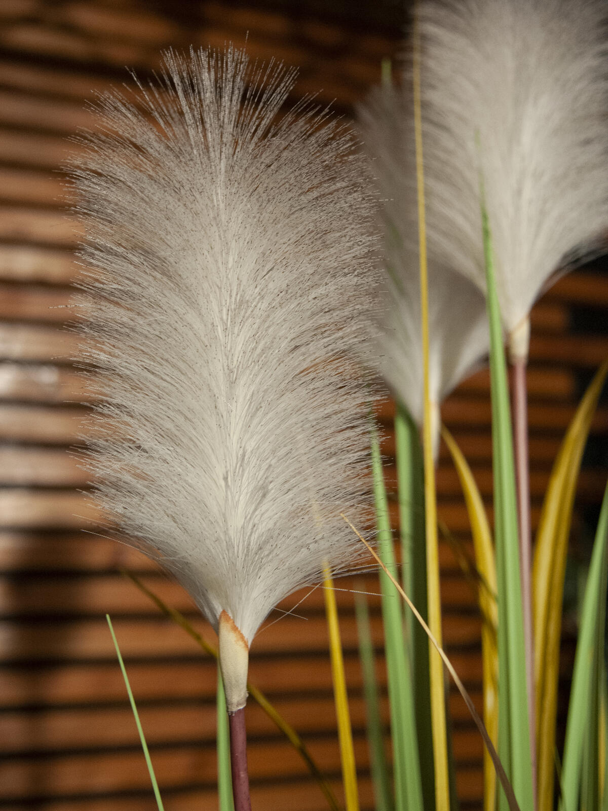 Europalms Wildwuchs, künstlich, 120cm – Ansicht 5