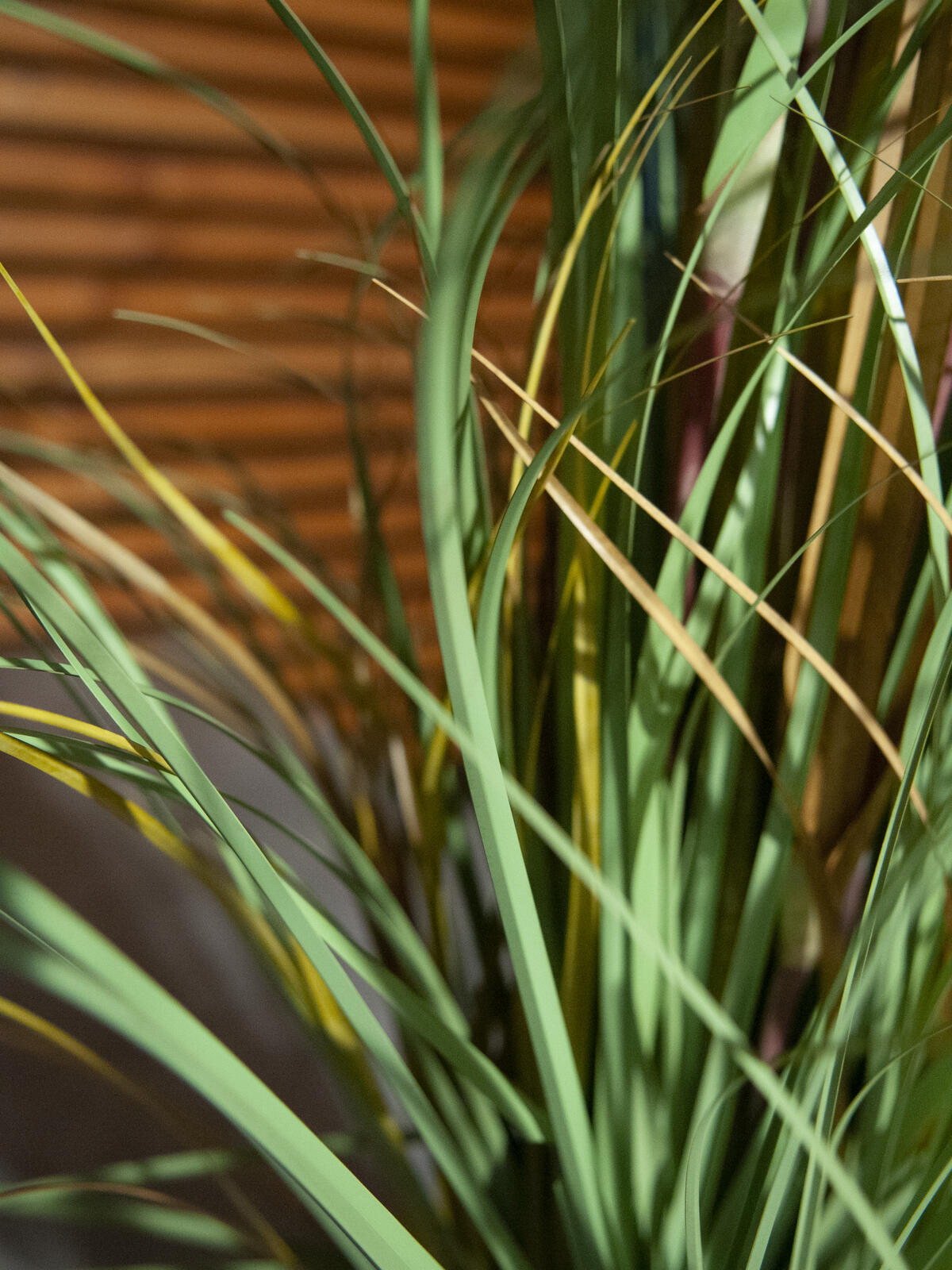 Europalms Wildwuchs, künstlich, 120cm – Ansicht 6