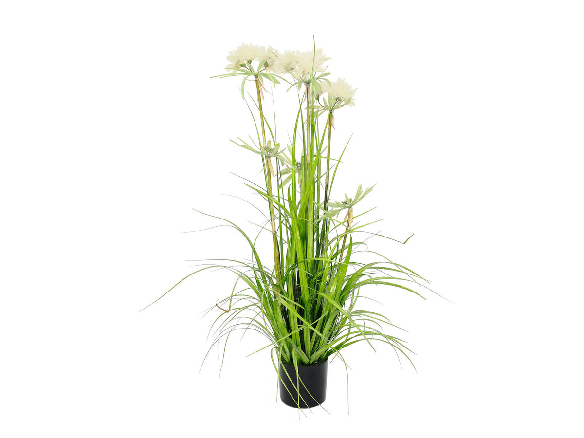 Europalms Sterngras, künstlich, 120cm