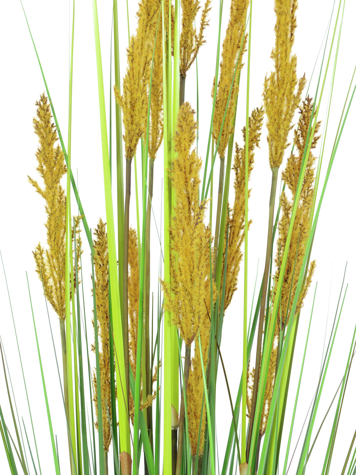 Europalms Papageiengras, künstlich, 120cm – Ansicht 2