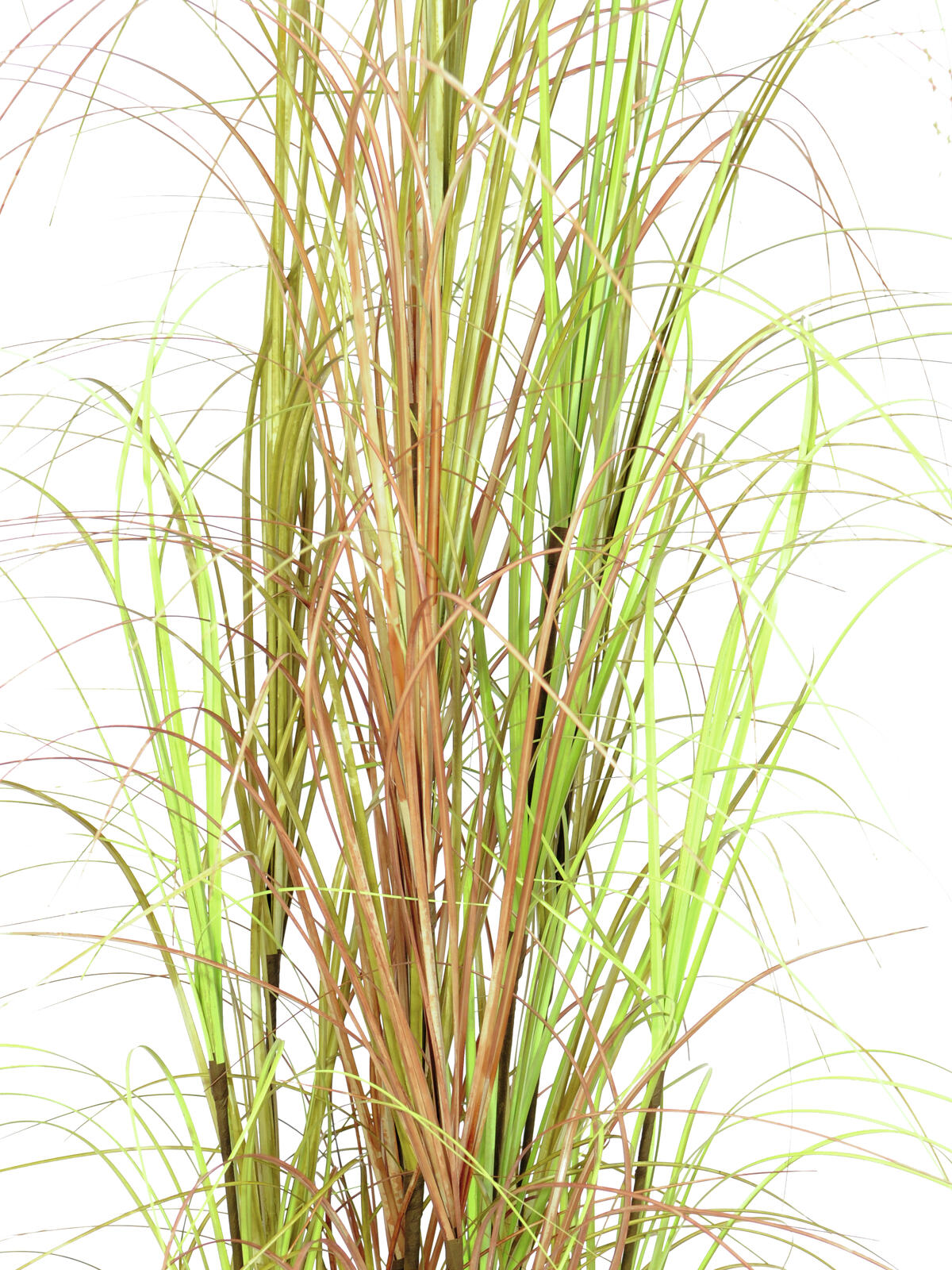 Europalms Grasbusch, künstlich, 150cm – Ansicht 2