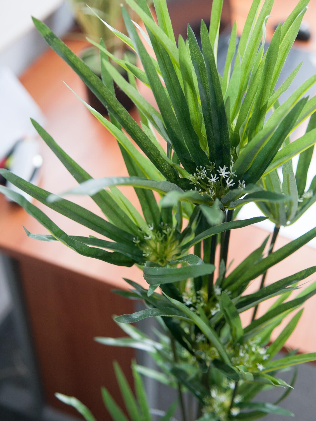 Europalms Zyperngras, künstlich,76cm – Ansicht 3