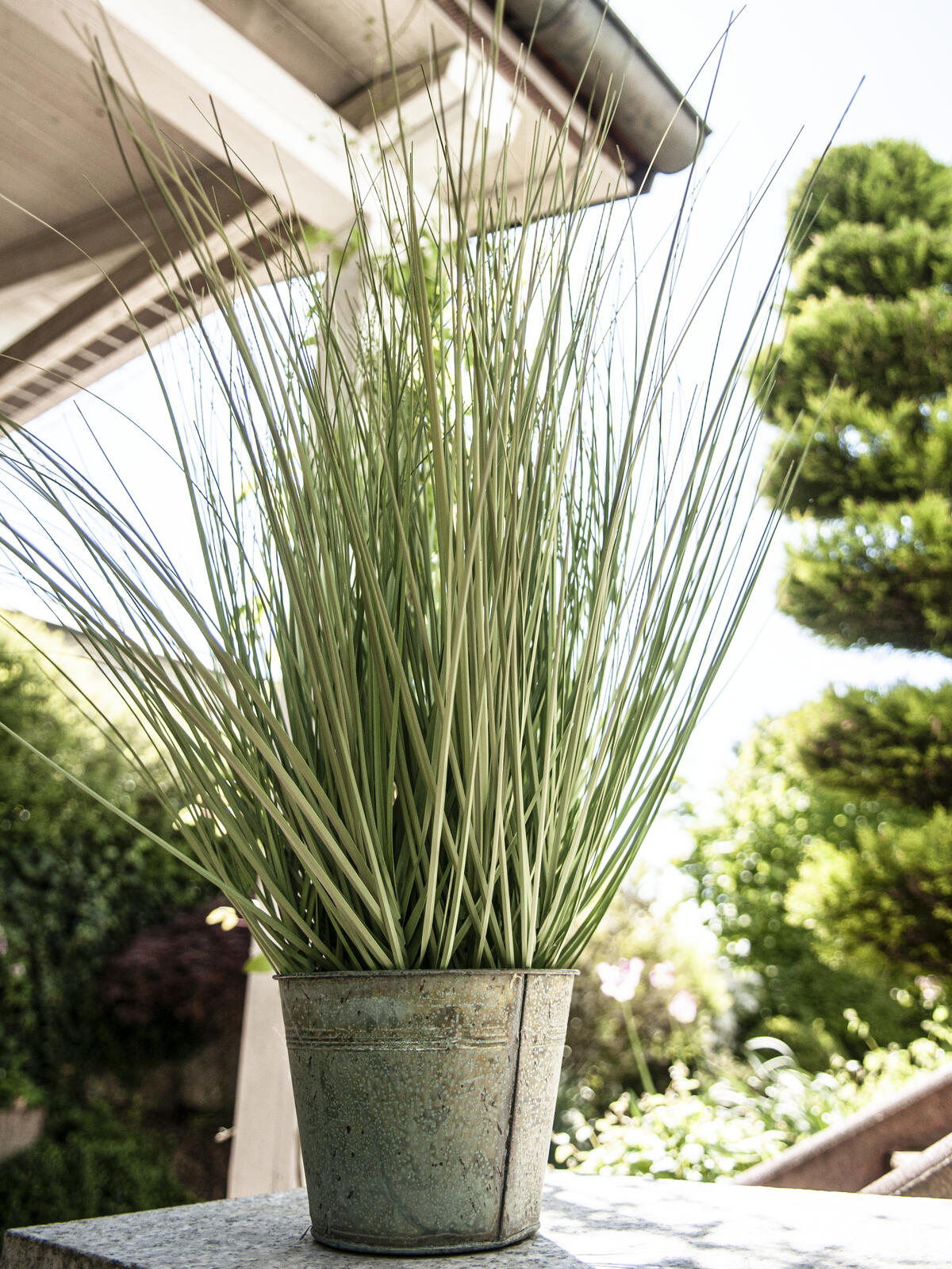 Europalms Ziergras, künstlich, 65cm – Ansicht 10