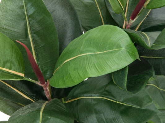 Europalms Gummibaum, Kunstpflanze, 120cm – Ansicht 2