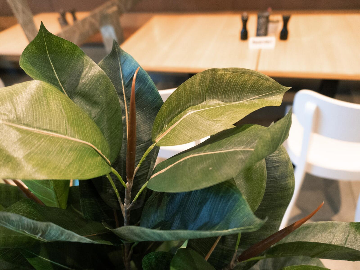 Europalms Gummibaum, Kunstpflanze, 120cm – Ansicht 4