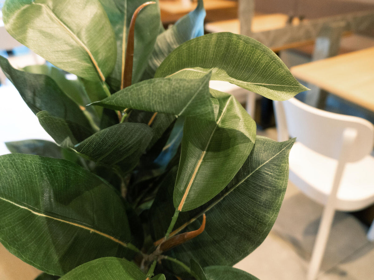 Europalms Gummibaum, Kunstpflanze, 120cm – Ansicht 5