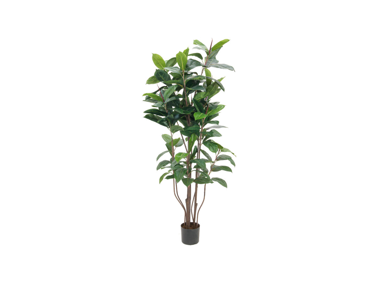 Europalms Gummibaum, Kunstpflanze,150cm