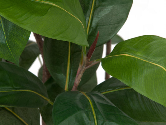 Europalms Gummibaum, Kunstpflanze,150cm – Ansicht 2