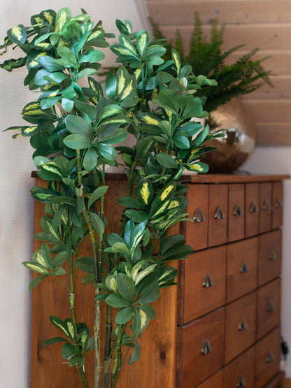 Europalms Schefflera, künstlich, 120cm – Ansicht 8