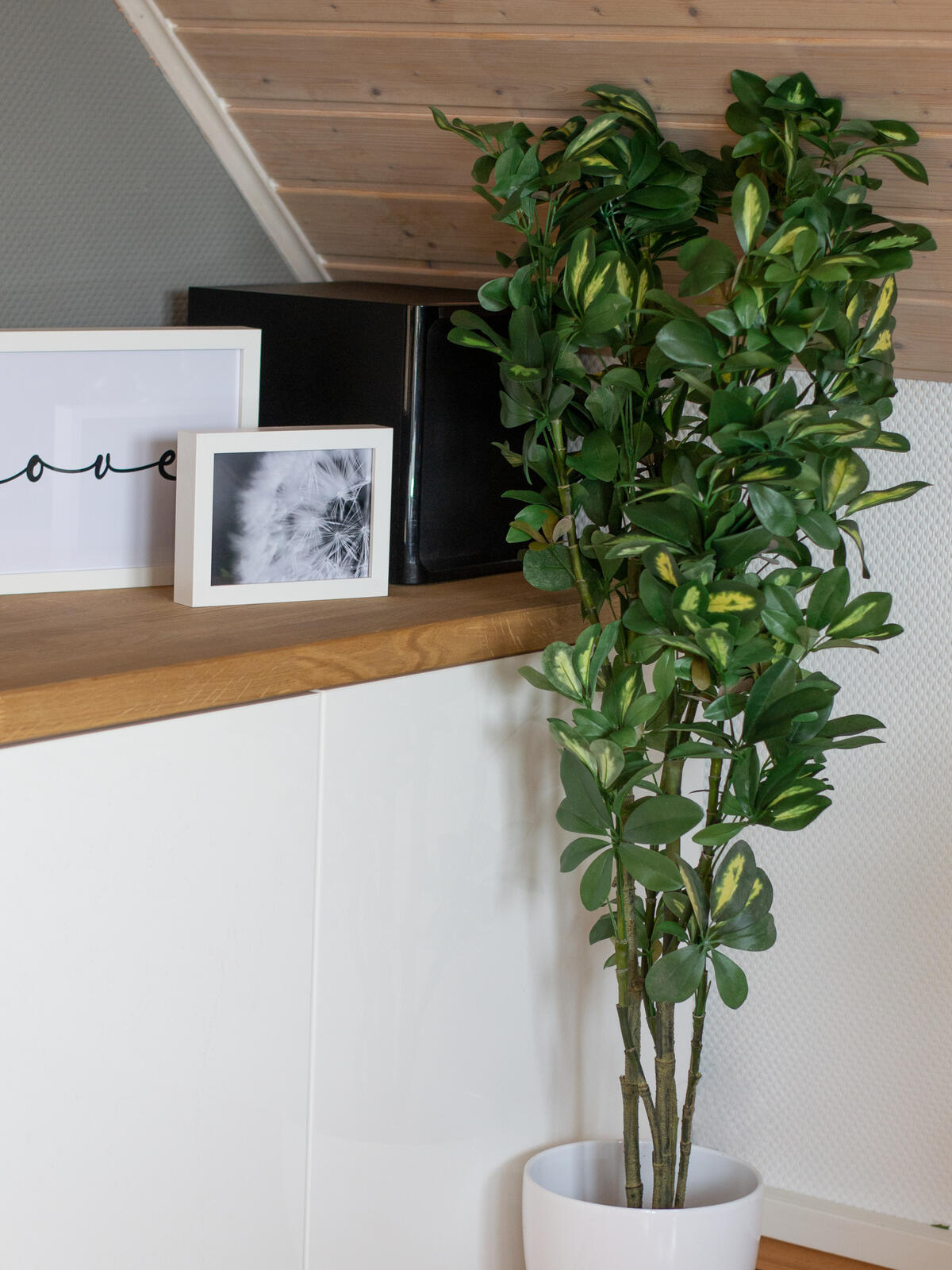 Europalms Schefflera, künstlich, 120cm – Ansicht 10
