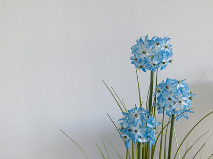 Europalms Alliumgras, Kunstpflanze, blau, 120 cm – Ansicht 6
