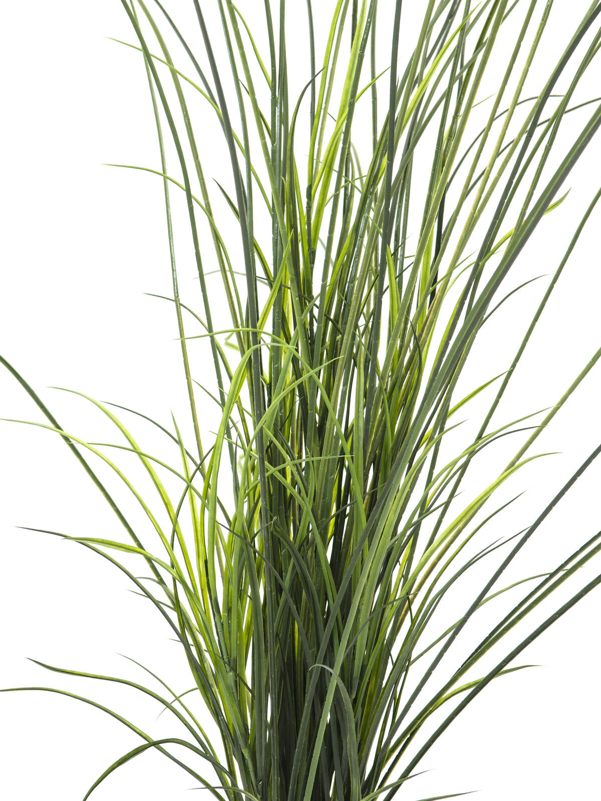 Europalms Schilfgras, künstlich, 145cm – Ansicht 2