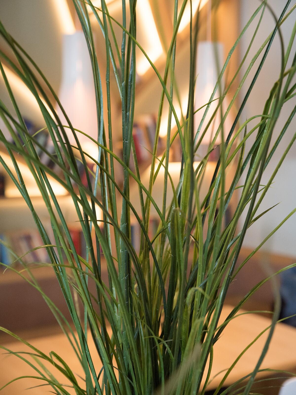Europalms Schilfgras, künstlich, 145cm – Ansicht 3