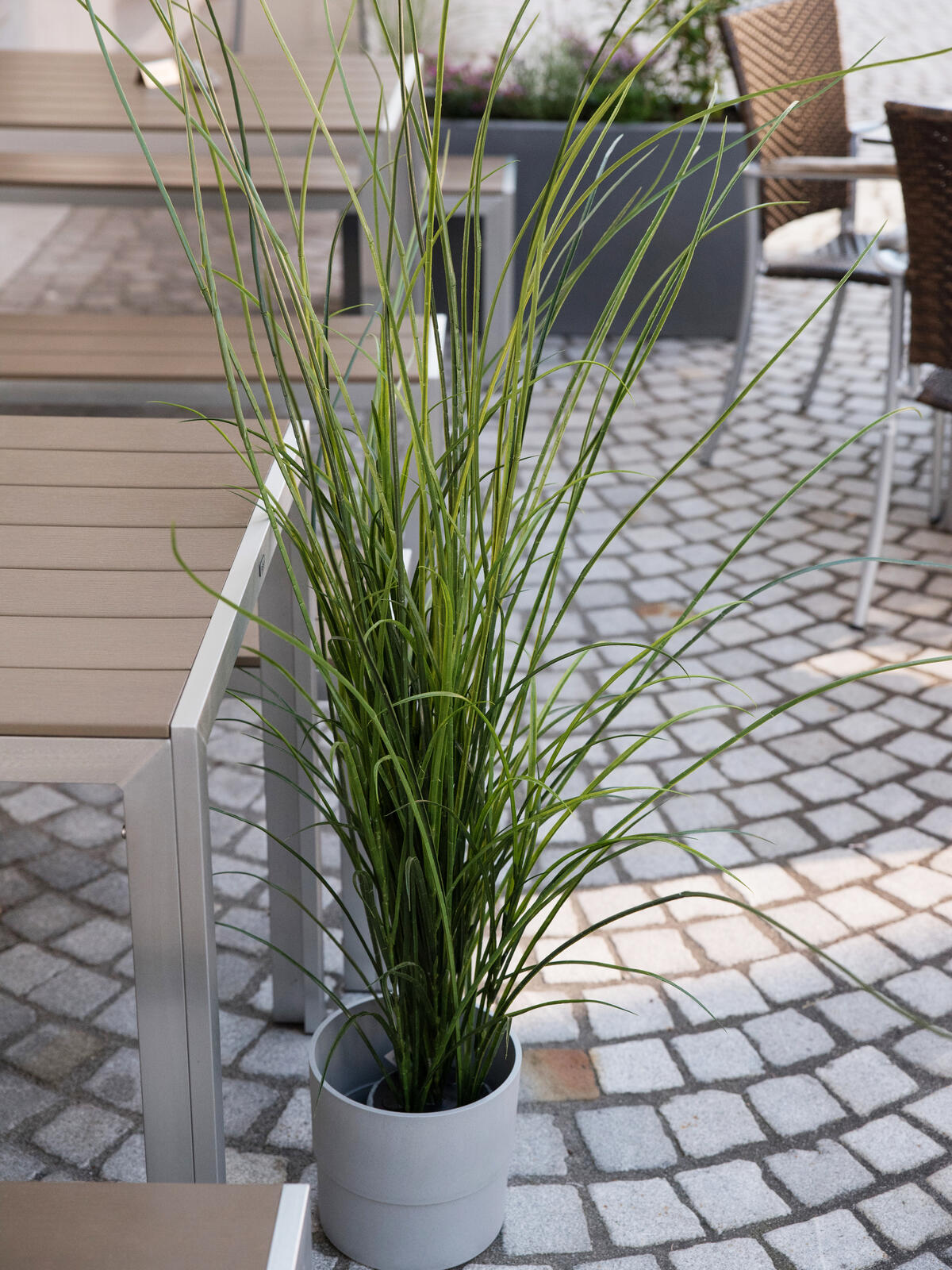 Europalms Schilfgras, künstlich, 145cm – Ansicht 6