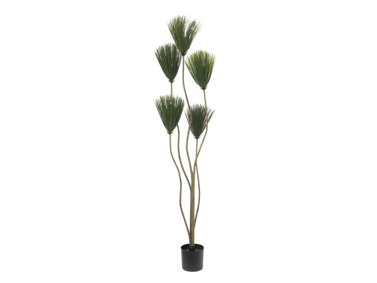 Europalms Papyrus, Kunstpflanze, 130cm