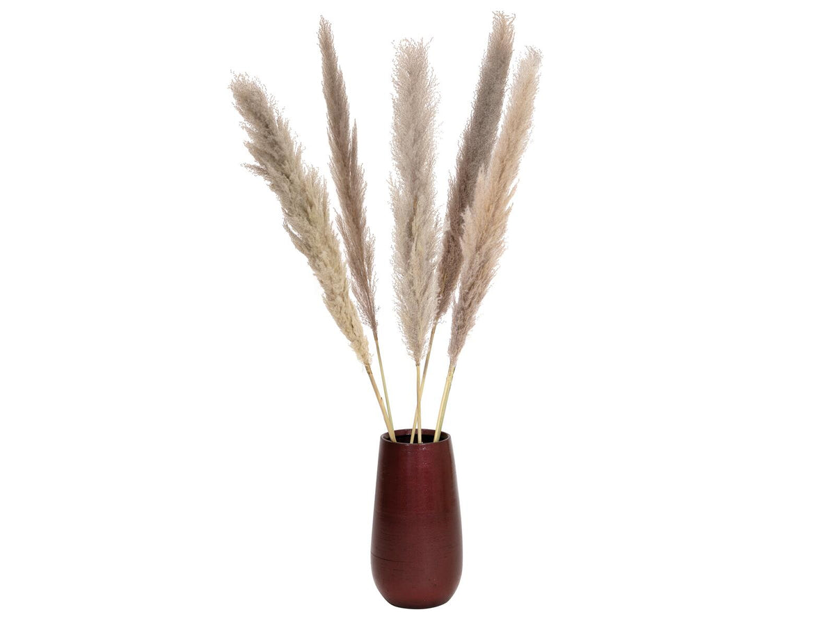 Jolipa Pampasgras Zweig, getrocknet, natur, 137cm – Ansicht 4