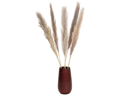 Jolipa Pampasgras Zweig, getrocknet, natur, 137cm – Ansicht 4