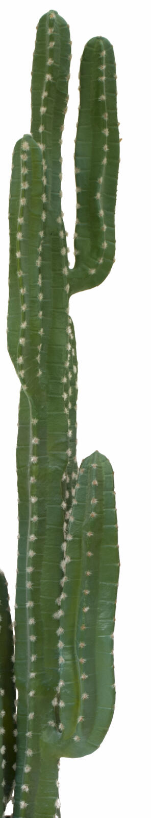 Europalms Mexikanischer Kaktus, Kunstpflanze, grün, 123cm – Ansicht 2