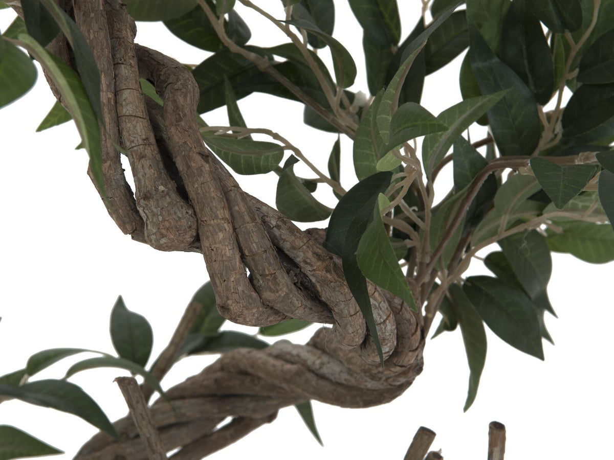 Europalms Ficus Multi Spiralstamm, Kunstpflanze, 130cm – Ansicht 2
