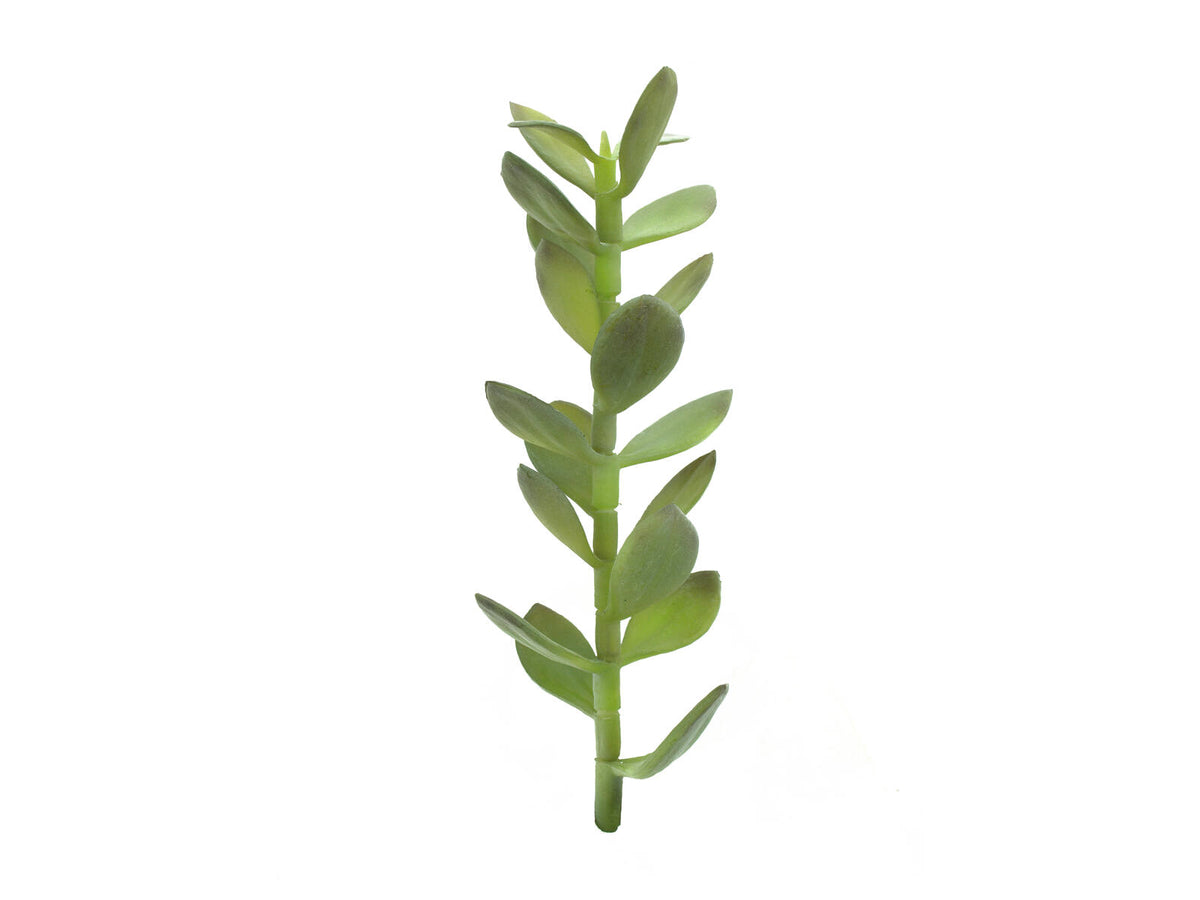Europalms Geldbäumchen-Spross, Kunstpflanze, 30cm