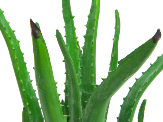 Europalms Aloe-Vera-Pflanze, Kunstpflanze, 63cm – Ansicht 2