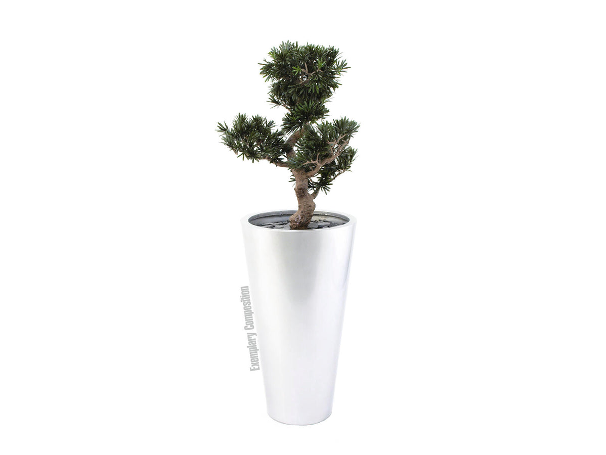 Europalms LEICHTSIN ELEGANCE-69, silber, glänzend – Ansicht 2
