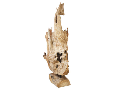 Europalms Wurzelobjekt Teak natur 160cm – Ansicht 3