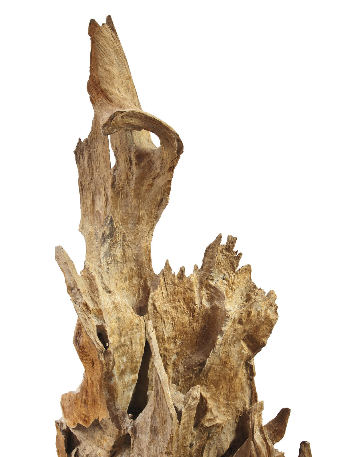 Europalms Wurzelobjekt Teak natur 160cm – Ansicht 7