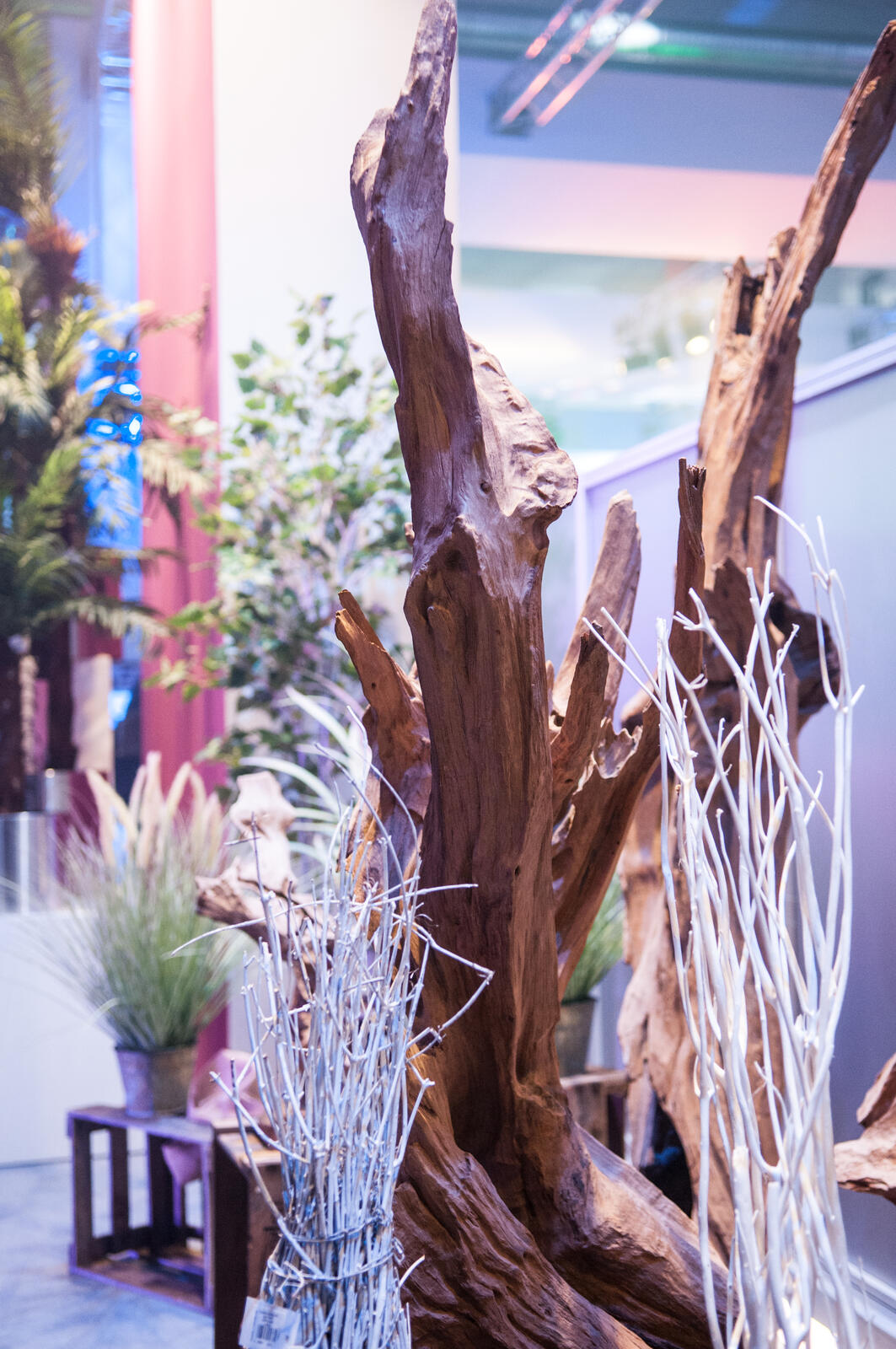 Europalms Wurzelobjekt Teak natur 160cm – Ansicht 10