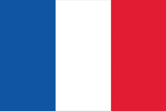 Europalms Flagge, Frankreich, 600x360cm