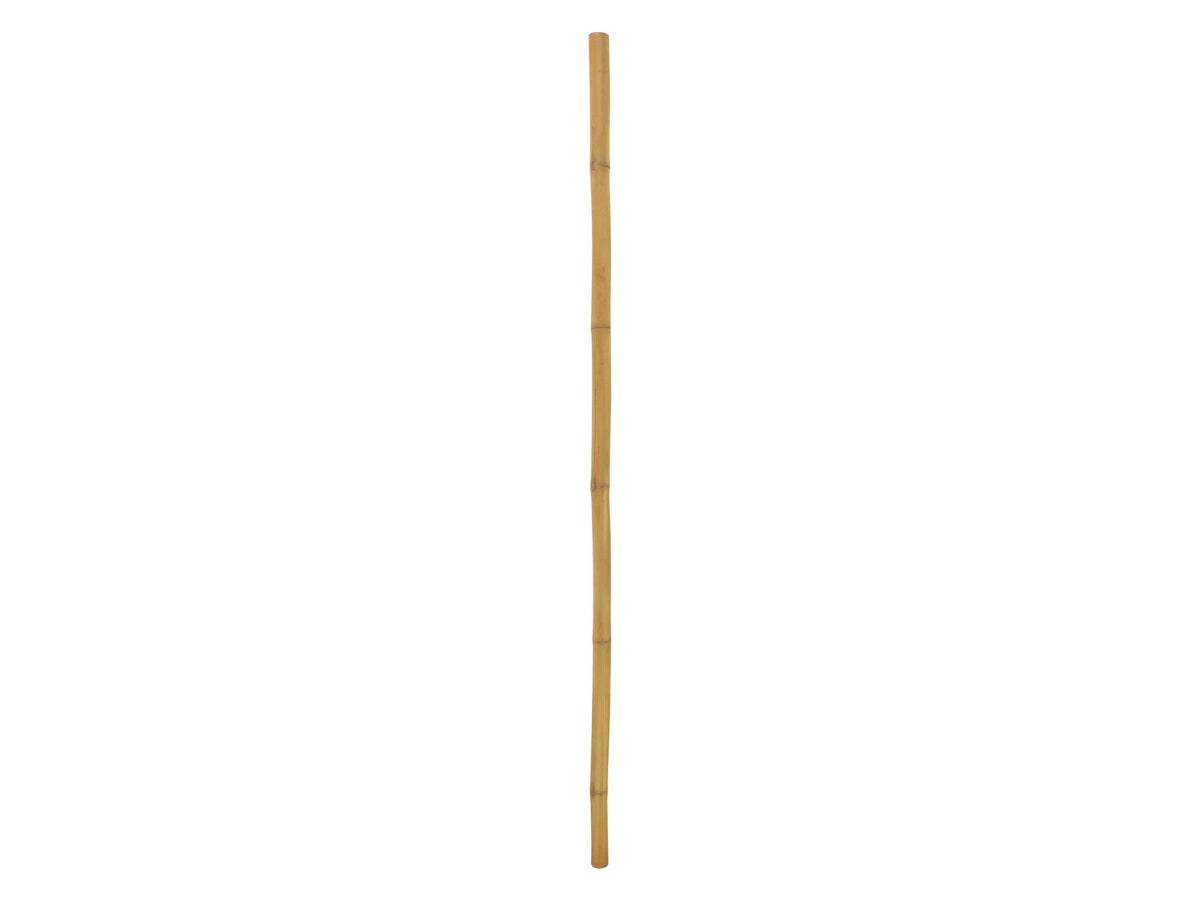 Europalms Bambusrohr, Ø=5cm, 200cm