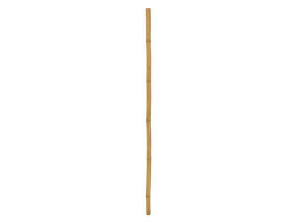 Europalms Bambusrohr, Ø=5cm, 200cm