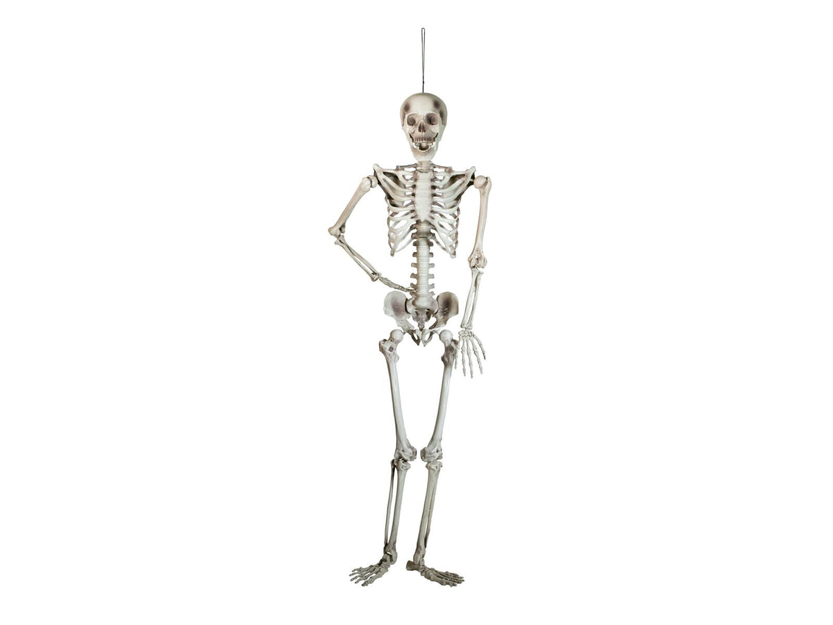 Europalms Halloween Skelett, 150 cm – Ansicht 2